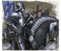 Renaissance Knights kingdom banner