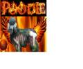 Poodles From Hell kingdom banner