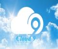 Cloud Nine kingdom banner