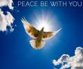 Peace be with you kingdom banner