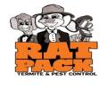 Rat Pack kingdom banner