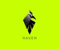 Raven Clan kingdom banner