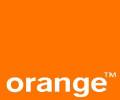 Orange kingdom banner